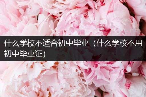 什么学校不适合初中毕业（什么学校不用初中毕业证）