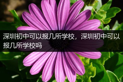 深圳初中可以报几所学校，深圳初中可以报几所学校吗