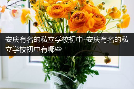 安庆有名的私立学校初中-安庆有名的私立学校初中有哪些