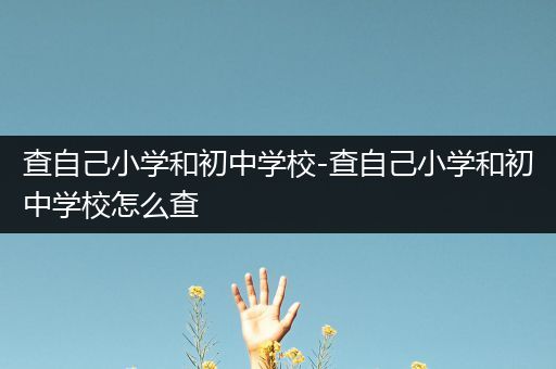 查自己小学和初中学校-查自己小学和初中学校怎么查