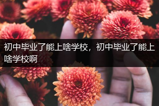 初中毕业了能上啥学校，初中毕业了能上啥学校啊