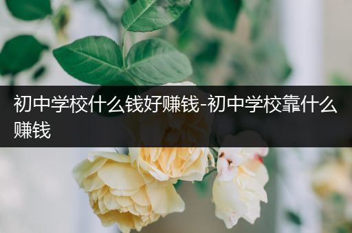 初中学校什么钱好赚钱-初中学校靠什么赚钱