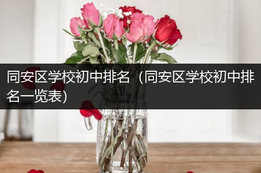 同安区学校初中排名（同安区学校初中排名一览表）