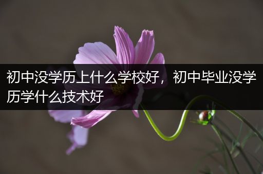 初中没学历上什么学校好，初中毕业没学历学什么技术好