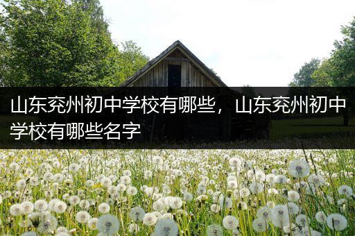 山东兖州初中学校有哪些，山东兖州初中学校有哪些名字