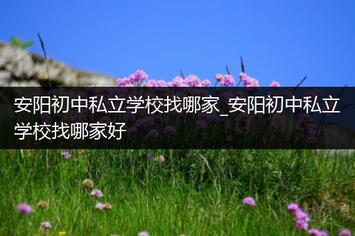 安阳初中私立学校找哪家_安阳初中私立学校找哪家好