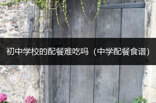 初中学校的配餐难吃吗（中学配餐食谱）
