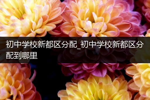 初中学校新都区分配_初中学校新都区分配到哪里