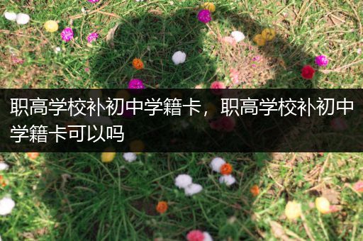 职高学校补初中学籍卡，职高学校补初中学籍卡可以吗