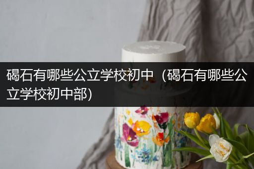 碣石有哪些公立学校初中（碣石有哪些公立学校初中部）