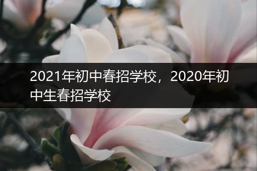 2021年初中春招学校，2020年初中生春招学校