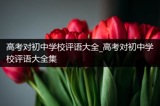 高考对初中学校评语大全_高考对初中学校评语大全集