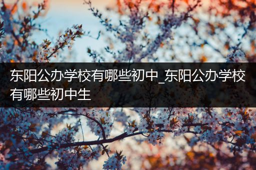 东阳公办学校有哪些初中_东阳公办学校有哪些初中生