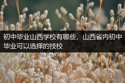 初中毕业山西学校有哪些，山西省内初中毕业可以选择的技校