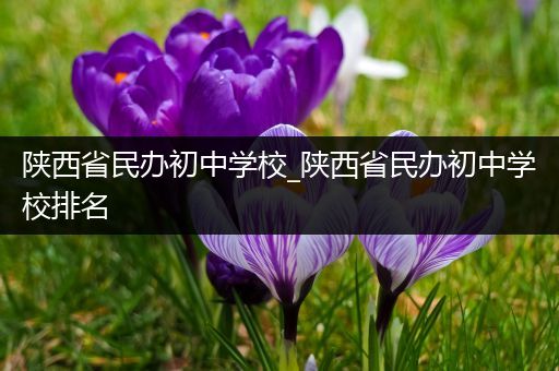 陕西省民办初中学校_陕西省民办初中学校排名