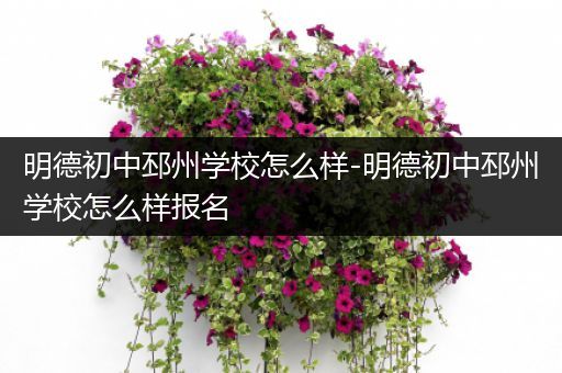 明德初中邳州学校怎么样-明德初中邳州学校怎么样报名