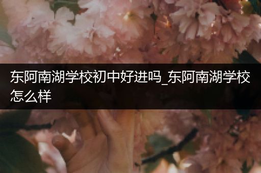 东阿南湖学校初中好进吗_东阿南湖学校怎么样