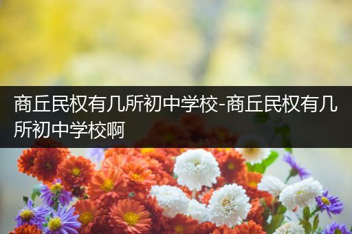 商丘民权有几所初中学校-商丘民权有几所初中学校啊