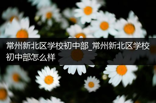 常州新北区学校初中部_常州新北区学校初中部怎么样