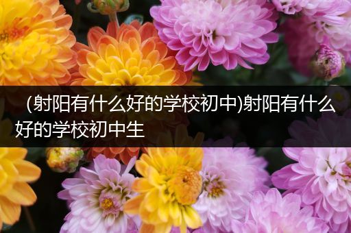 （射阳有什么好的学校初中)射阳有什么好的学校初中生