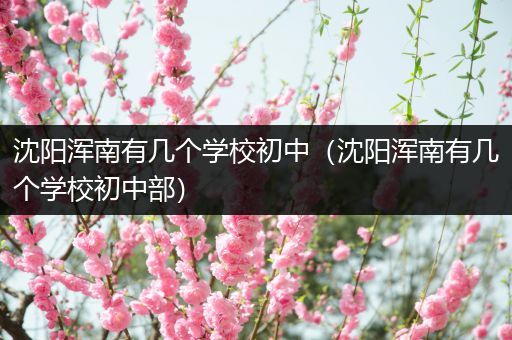 沈阳浑南有几个学校初中（沈阳浑南有几个学校初中部）