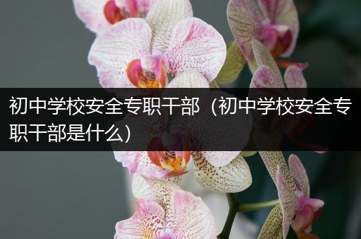 初中学校安全专职干部（初中学校安全专职干部是什么）