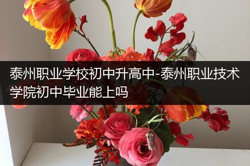 泰州职业学校初中升高中-泰州职业技术学院初中毕业能上吗