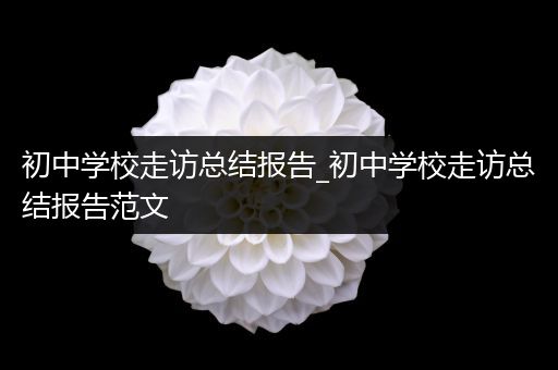 初中学校走访总结报告_初中学校走访总结报告范文