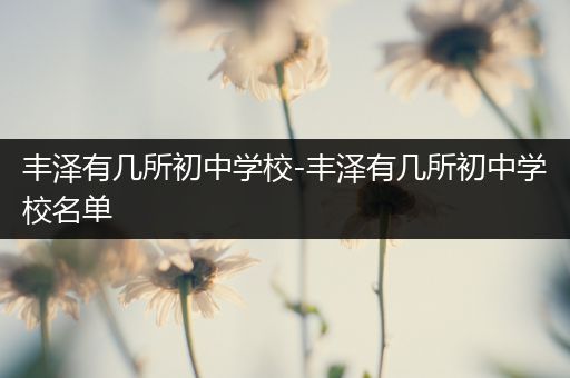 丰泽有几所初中学校-丰泽有几所初中学校名单