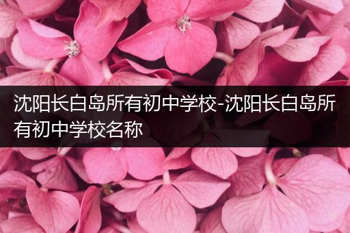 沈阳长白岛所有初中学校-沈阳长白岛所有初中学校名称