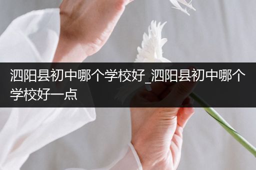 泗阳县初中哪个学校好_泗阳县初中哪个学校好一点