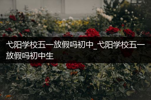 弋阳学校五一放假吗初中_弋阳学校五一放假吗初中生