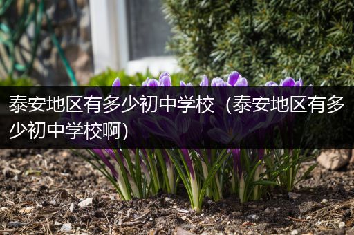 泰安地区有多少初中学校（泰安地区有多少初中学校啊）