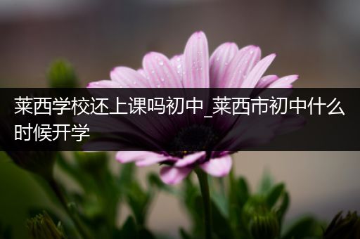 莱西学校还上课吗初中_莱西市初中什么时候开学