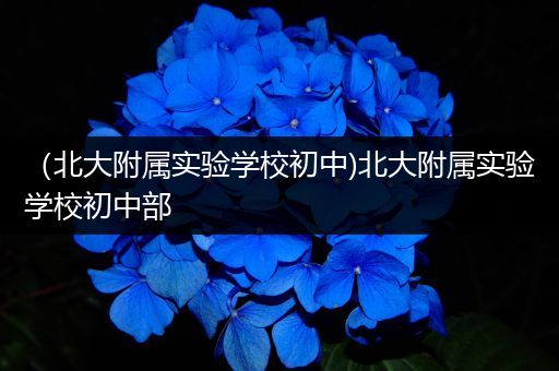 （北大附属实验学校初中)北大附属实验学校初中部