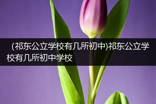 （祁东公立学校有几所初中)祁东公立学校有几所初中学校