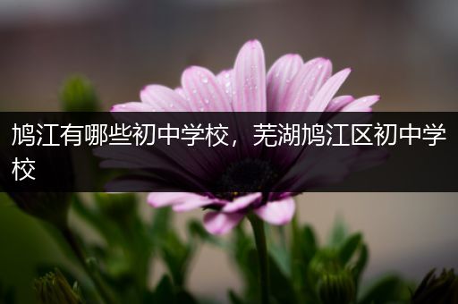 鸠江有哪些初中学校，芜湖鸠江区初中学校