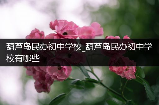 葫芦岛民办初中学校_葫芦岛民办初中学校有哪些