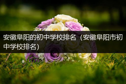 安徽阜阳的初中学校排名（安徽阜阳市初中学校排名）