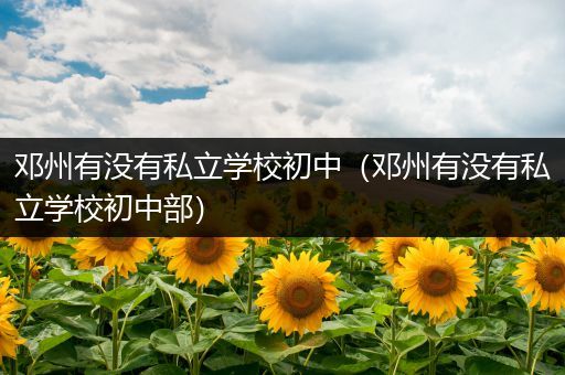 邓州有没有私立学校初中（邓州有没有私立学校初中部）