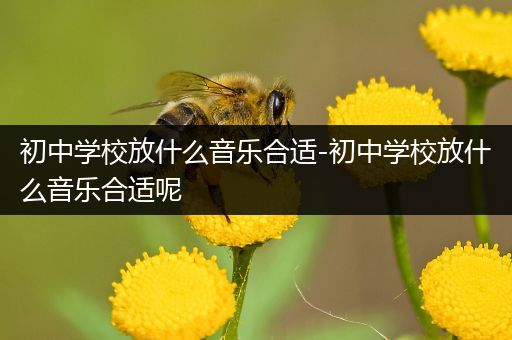 初中学校放什么音乐合适-初中学校放什么音乐合适呢