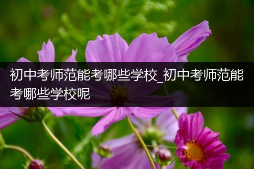 初中考师范能考哪些学校_初中考师范能考哪些学校呢