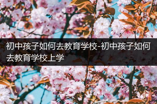 初中孩子如何去教育学校-初中孩子如何去教育学校上学