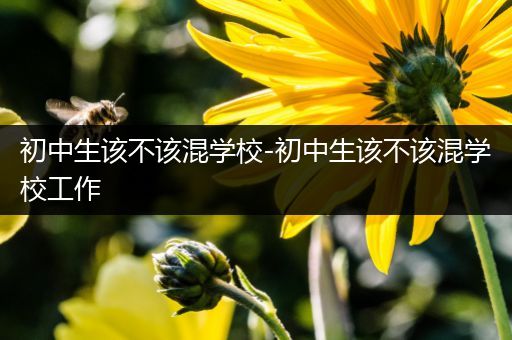 初中生该不该混学校-初中生该不该混学校工作