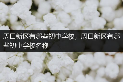 周口新区有哪些初中学校，周口新区有哪些初中学校名称