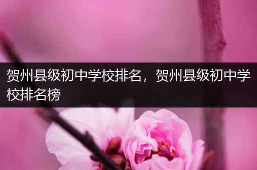 贺州县级初中学校排名，贺州县级初中学校排名榜