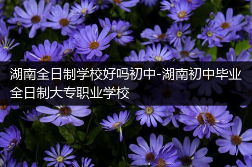 湖南全日制学校好吗初中-湖南初中毕业全日制大专职业学校