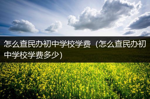 怎么查民办初中学校学费（怎么查民办初中学校学费多少）