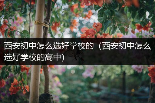 西安初中怎么选好学校的（西安初中怎么选好学校的高中）