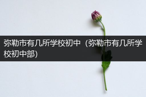 弥勒市有几所学校初中（弥勒市有几所学校初中部）